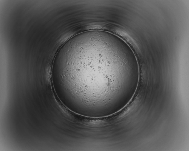 X0000096701233200802191442