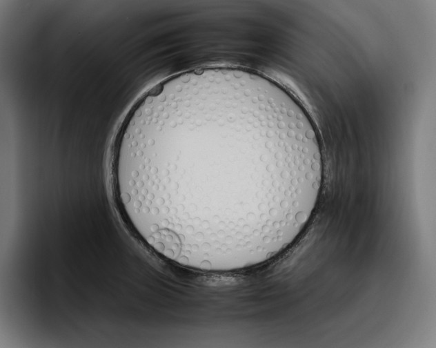 X0000096701235200802191442