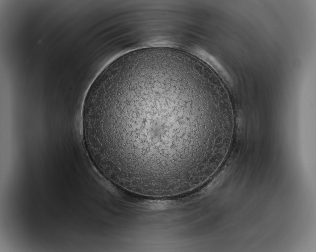 X0000096701236200802191442