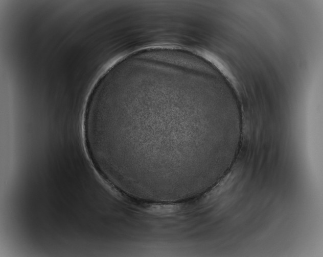 X0000096701237200802191442
