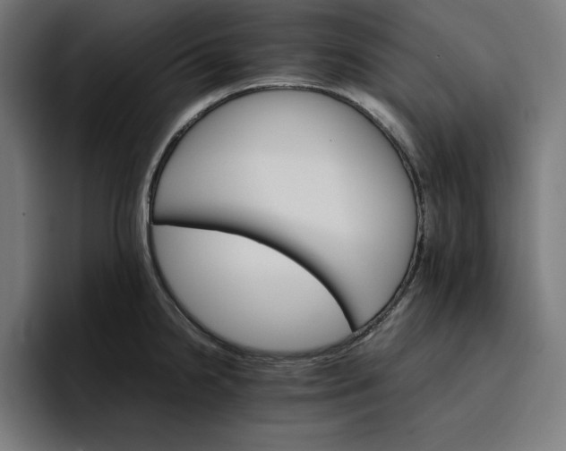 X0000096701238200802191442