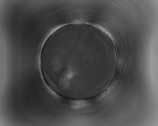 X0000096701239200802191442
