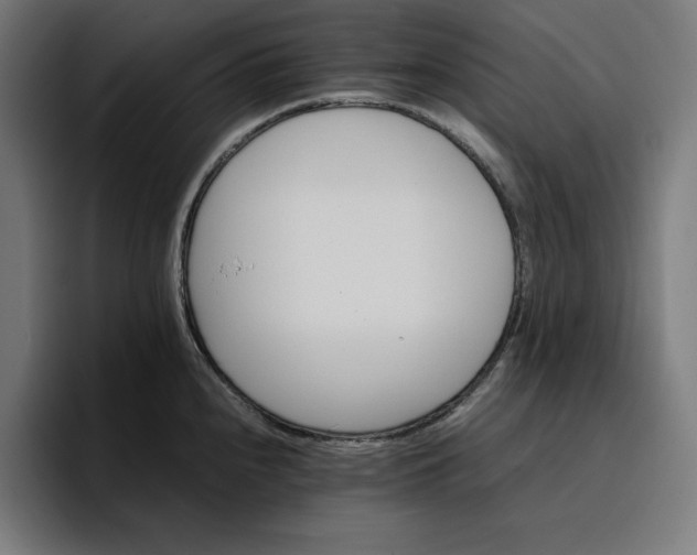 X0000096701240200802191442