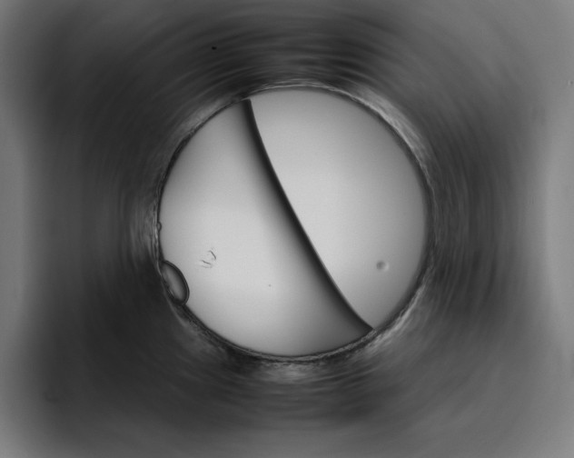 X0000096701241200802191442