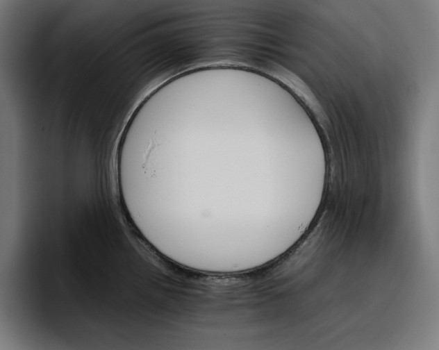 X0000096701242200802191442