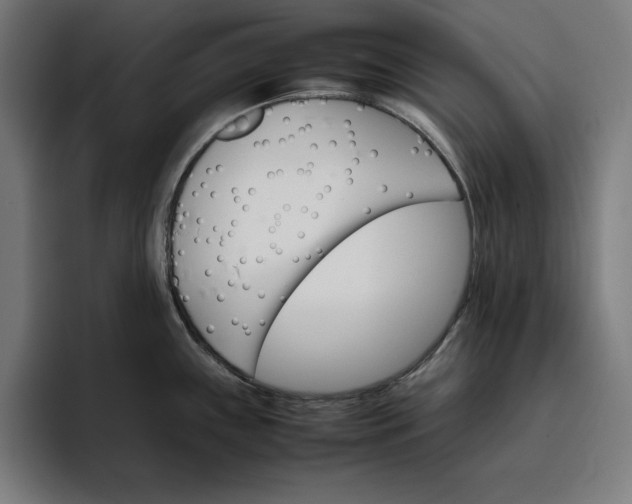 X0000096701243200802191442