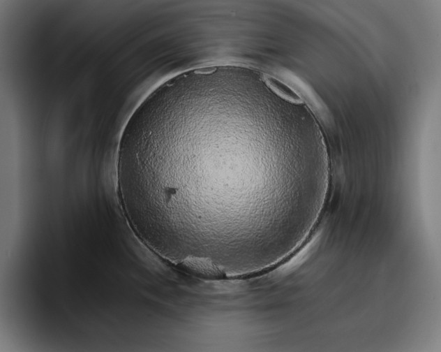 X0000096701244200802191442