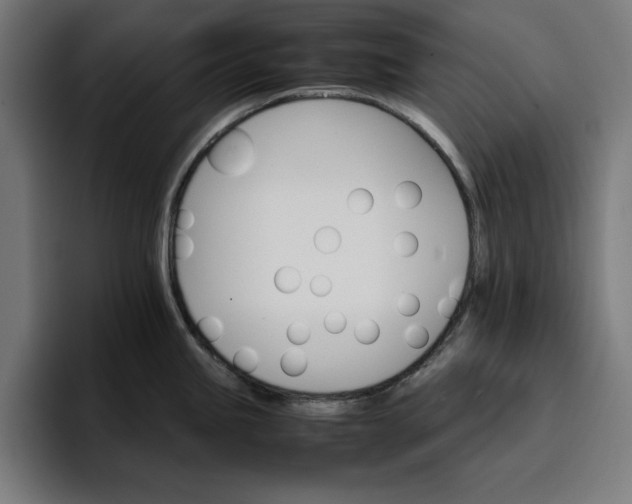 X0000096701245200802191442