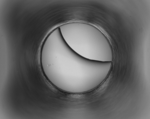 X0000096701246200802191442