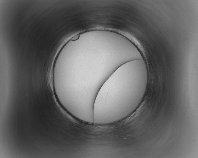 X0000096701247200802191442
