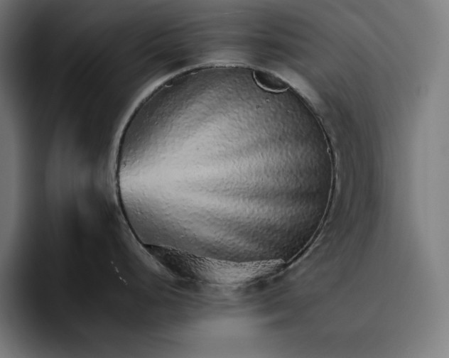 X0000096701248200802191442