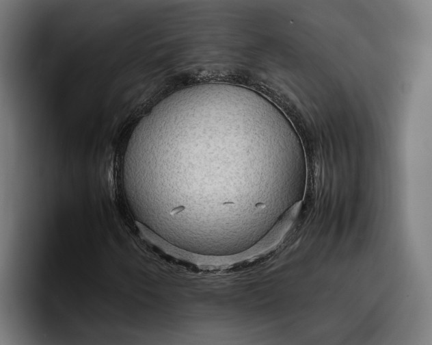 X0000096701250200802191441