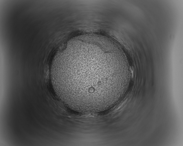 X0000096701251200802191441