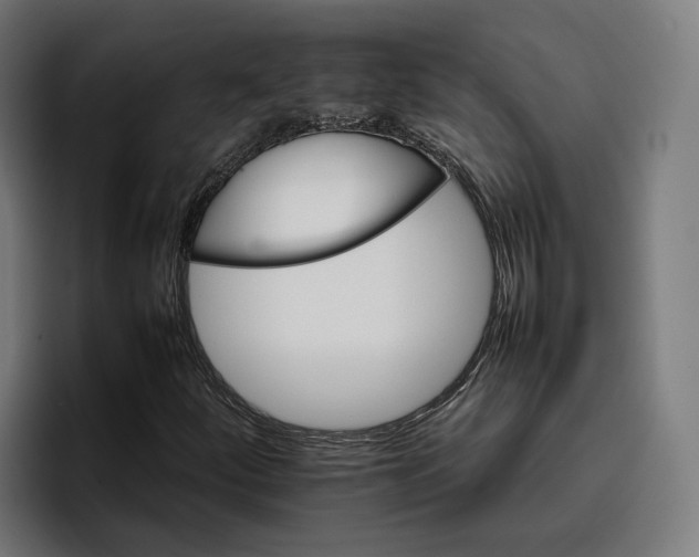 X0000096701252200802191441