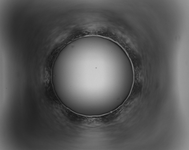 X0000096701253200802191441