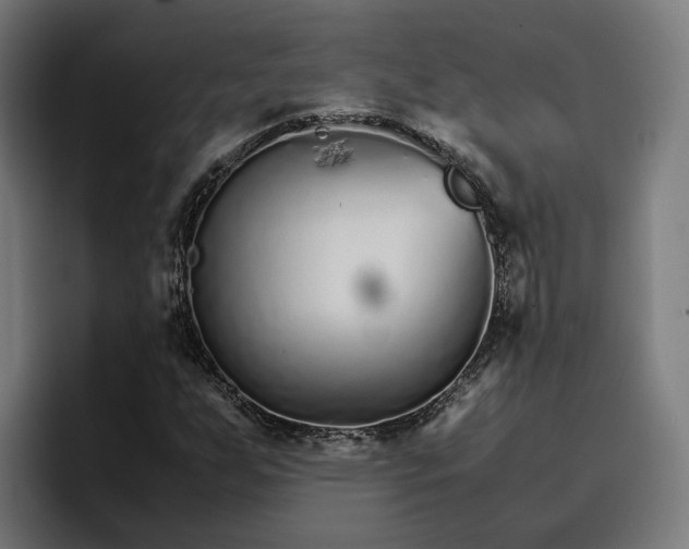 X0000096701255200802191441