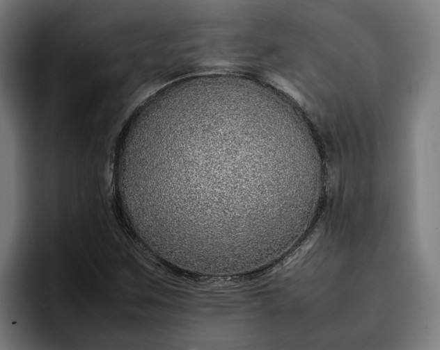 X0000096701259200802191441