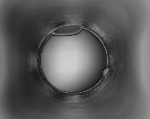 X0000096701260200802191441