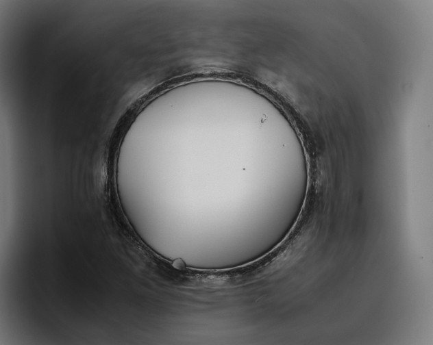 X0000096701261200802191441