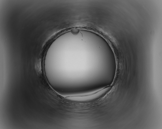 X0000096701262200802191441
