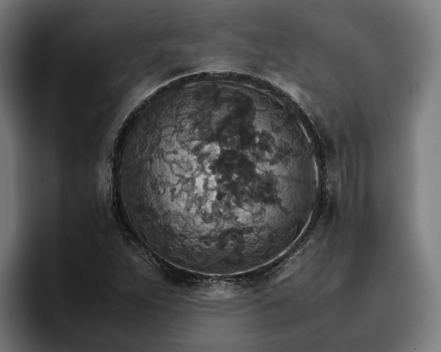 X0000096701263200802191441