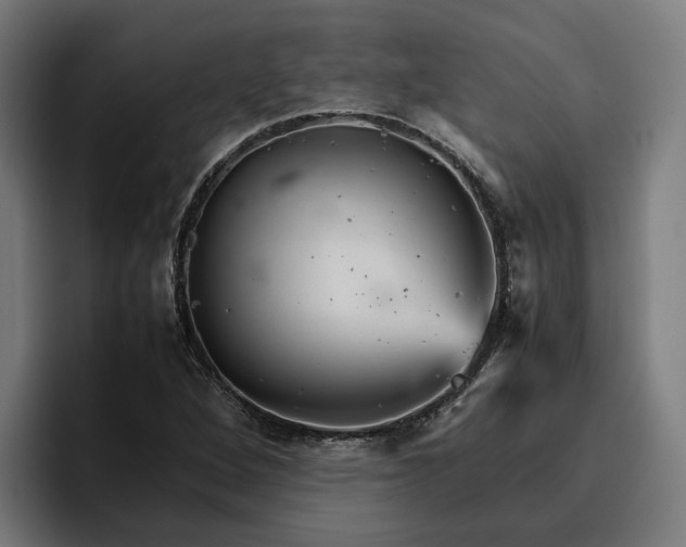 X0000096701264200802191441