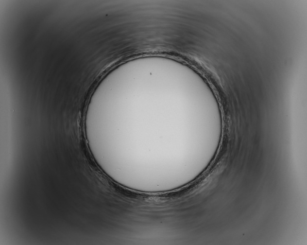 X0000096701265200802191441