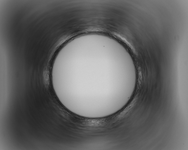 X0000096701266200802191441