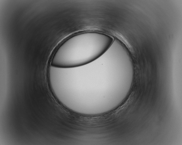 X0000096701268200802191441