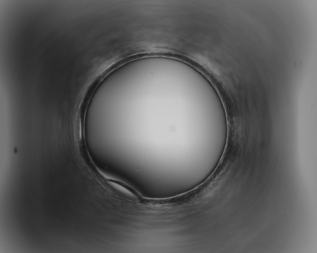 X0000096701269200802191441