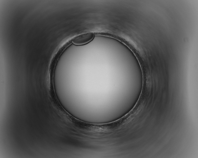 X0000096701270200802191441