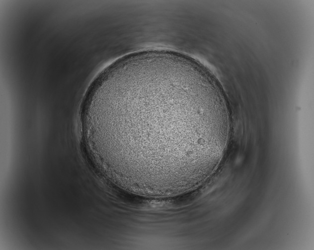 X0000096701271200802191441