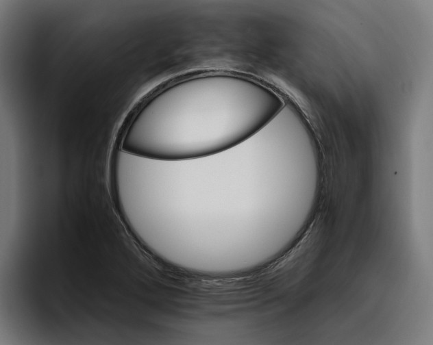 X0000096701272200802191441