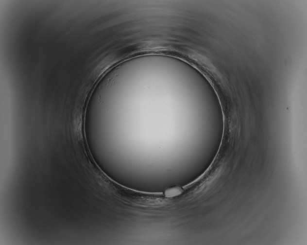 X0000096701273200802191441