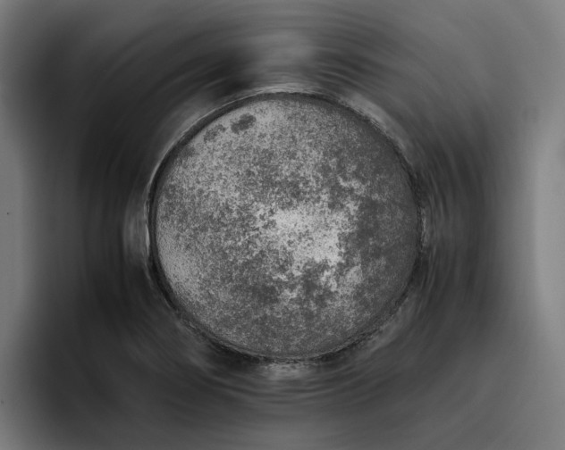X0000096701274200802191441