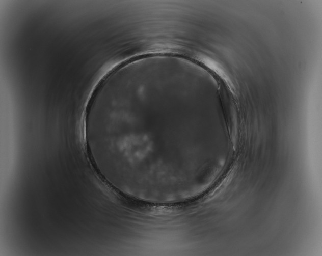 X0000096701275200802191441