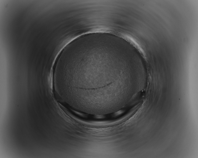 X0000096701276200802191441