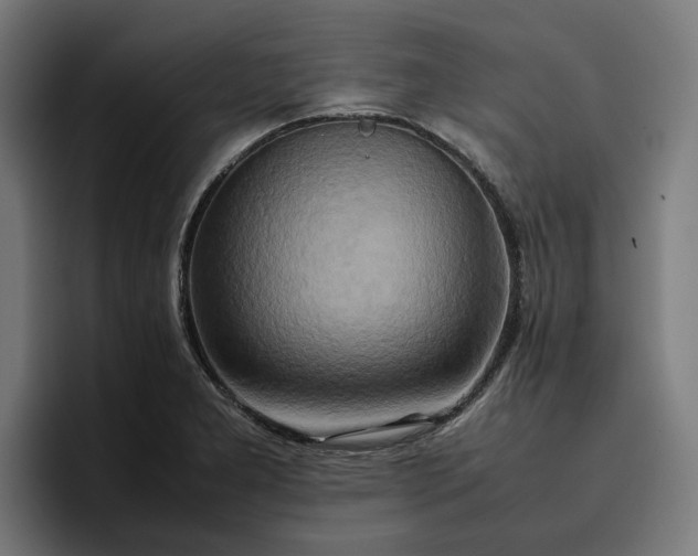 X0000096701277200802191441