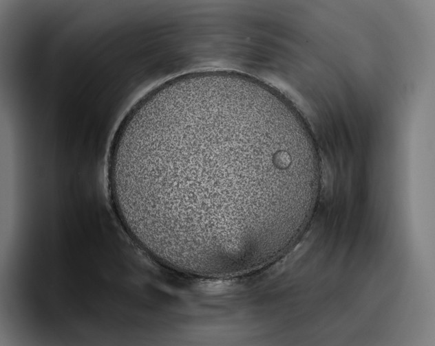 X0000096701278200802191441