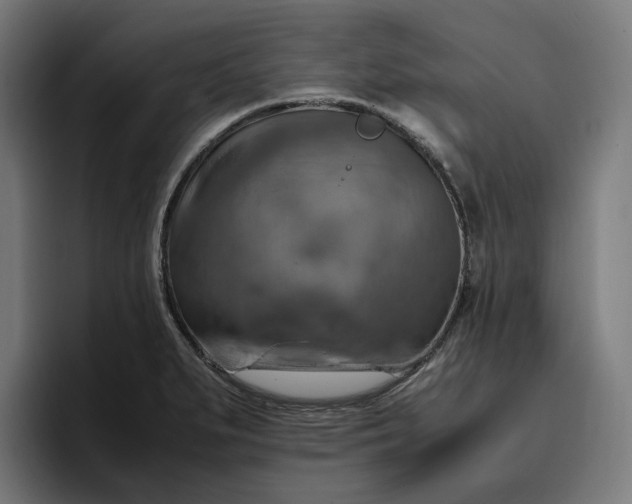 X0000096701279200802191441