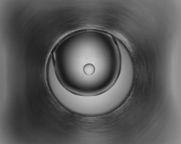 X0000096701280200802191441