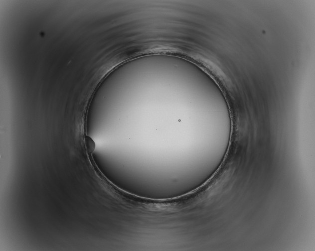 X0000096701281200802191441