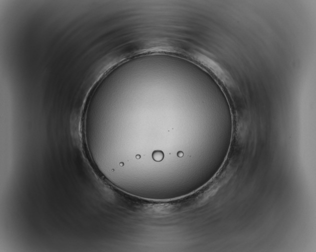 X0000096701282200802191441