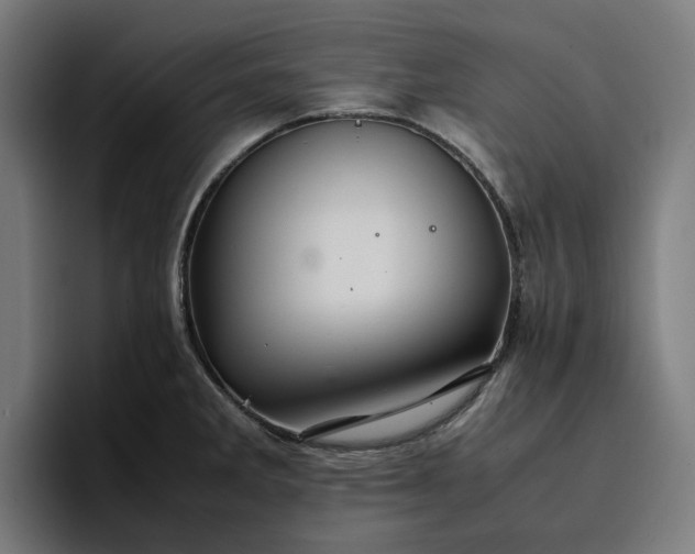 X0000096701285200802191441