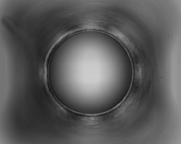 X0000096701286200802191441
