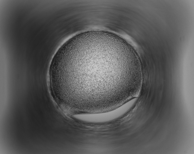 X0000096701287200802191441
