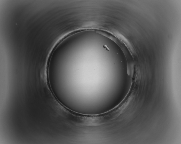 X0000096701288200802191441