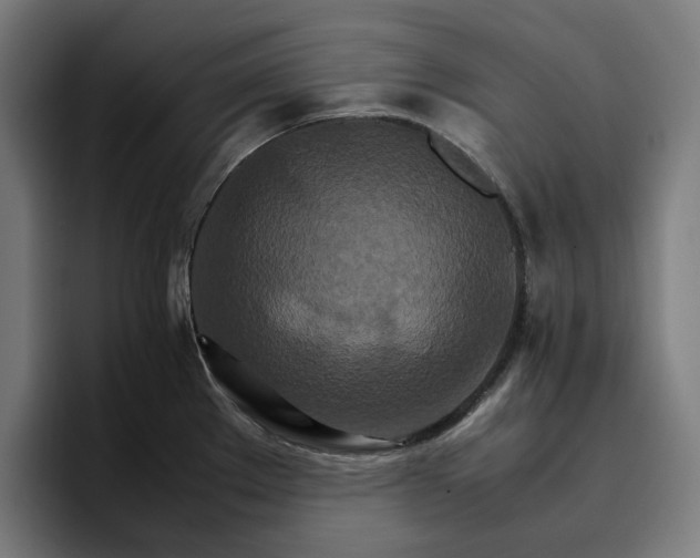 X0000096701289200802191441