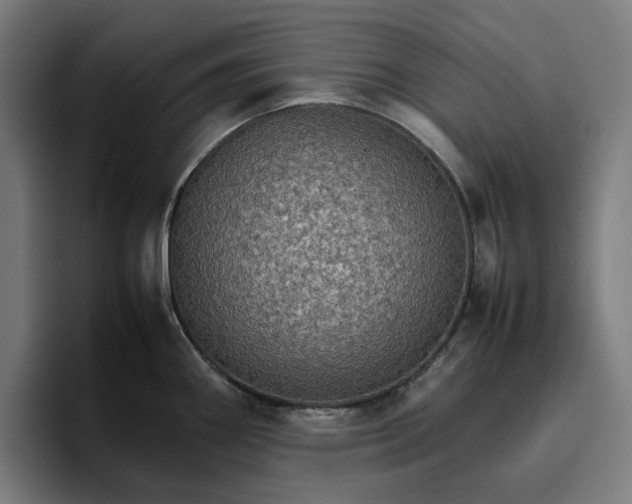 X0000096701290200802191441