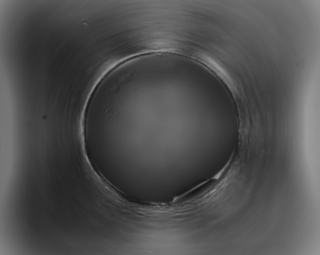 X0000096701291200802191441